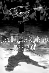Juara 2 Lomba Foto Pencak Malioboro Festival ke-3 2014